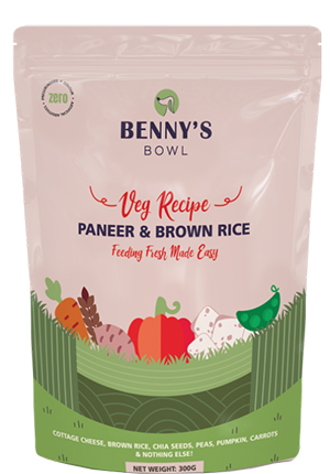 BENNY'S BOWL 300 GM PANEER