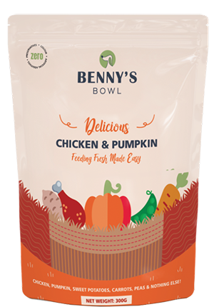 BENNY'S BOWL 300 GM PUMPKIN