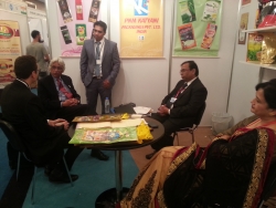 India Expo 2014 (2)