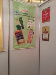 India Expo 2014 (5)